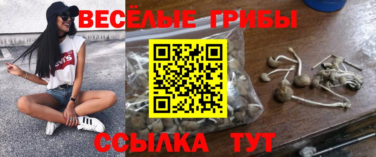 Новороссийск  Галлюциногенные грибы MAGIC MUSHROOMS  Вход с VPN 